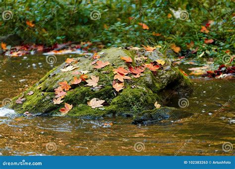 Autumn Fall Wild River Doubrava Picturesque Landscape Stock Image