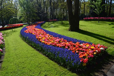 12 Things You Should Know Before You Visit Keukenhof Tulip Garden