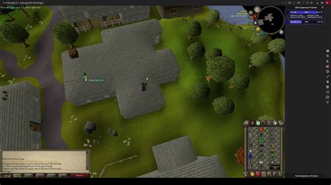 Agility Pet At Level 80 On Seers Rooftops Youtube