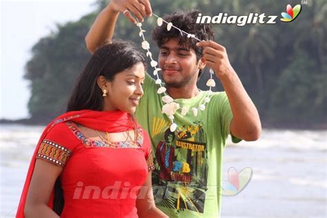 sindhu samaveli photos tamil movies photos images gallery stills clips