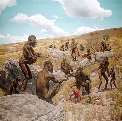 Australopithecus Africanus By Jay H Matternes Preistoria Fossili
