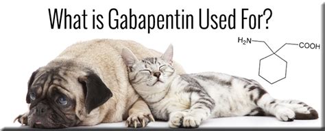 Maybe you would like to learn more about one of these? What is Gabapentin Used For?