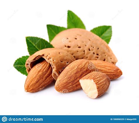 Almonds Nuts With Leaves Stock Image Image Of Medicine 180896529
