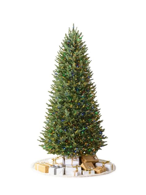 Balsam Hill Bh Balsam Fir Narrow Pre Strung Artificial Christmas Tree