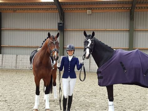 Pin Op Dressage Competition Wear
