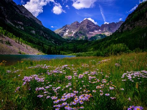 Top 11 Wildflower Hikes Near Denver