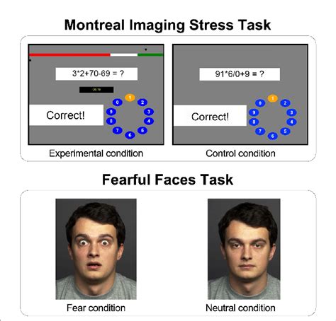 Graphical User Interface Of The Montreal Imaging Stress Task Mist And