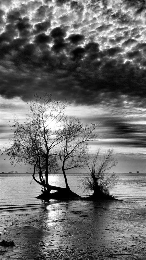 Simple Black And White Photography Nature