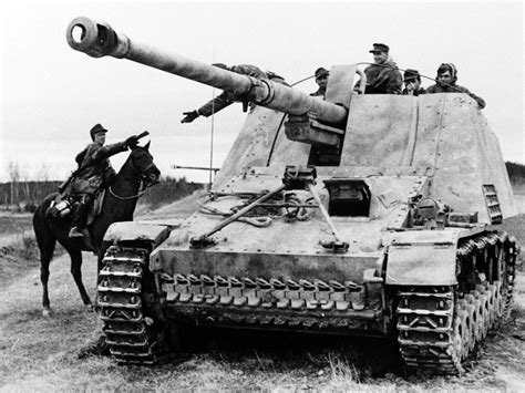 German Tank Destroyer Hornisse Aka Nashorn