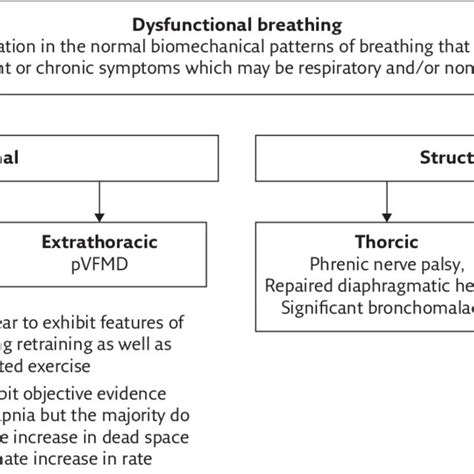 Classification Of Dysfunctional Breathing Download Scientific Diagram