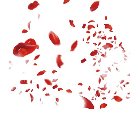 Red Rose Petals Png File Png All Png All