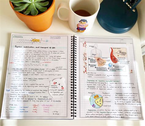 Pin By Lovely Study On Note Taking Notes Note Taking Bullet Journal
