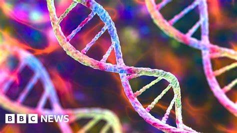 gap free human genome sequence completed for first time bbc news