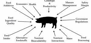 Swine Nutrition Guide Pork Information Gateway