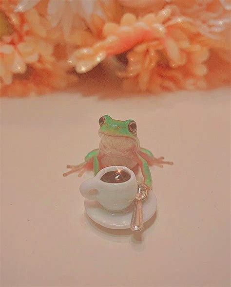 Pin By Liajisele On Pins Ive Posted In 2021 Frog Pictures Cute Frogs