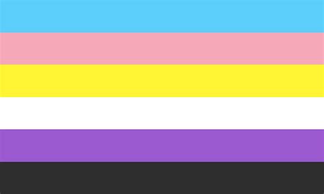 Trans Nonbinary By Pride Flags On Deviantart