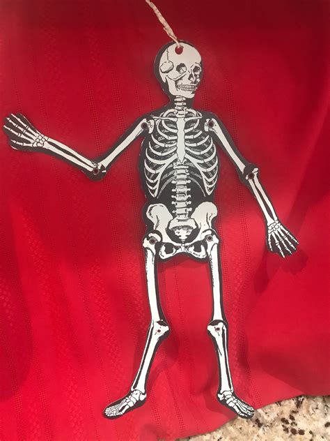 Vintage Jointed Cardboard Skeleton Halloween Etsy Vintage