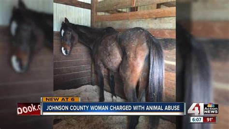 Woman Charged With Animal Abuse After Starving Horses Found In Odessa