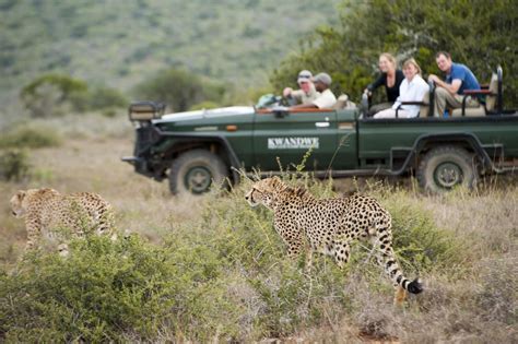 Wildlife Safaris In South Africa Expert Africa