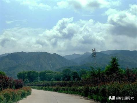 9旬老夫妻长寿有道，1个习惯爱好坚持了70年，看他们说养生养生老人家夫妻新浪新闻