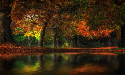 壁纸 阳光 树木 景观 森林 秋季 Photoshop 性质 反射 科 晚间 池塘 银行 洪水 湿地 颜色