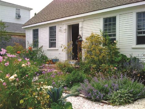 Gorgeous Front Yard No Lawn Cottage Garden Traditional