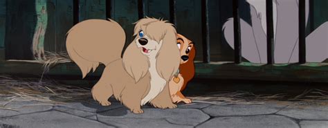 Disney Movie Of The Month April 2013 Lady And The Tramp Who Is