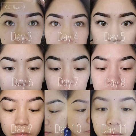 Ombre Powder Brows Healing Stages Process And Aftercare Day By Day