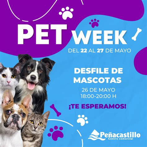 Desfile De Mascotas En Peñacastillo El 26 De Mayo Centro Comercial