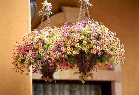Decorative Hanging Baskets For Your Home Carithers Flowers Atlanta