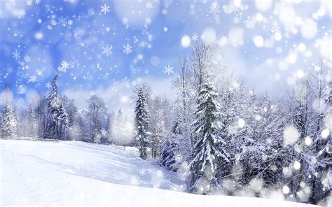 Free Download 25 Winter Wallpapers For Desktop 2560x1600 For Your Desktop Mobile And Tablet