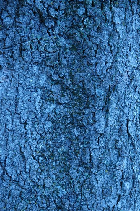 Free Blue Bark Stock Photo