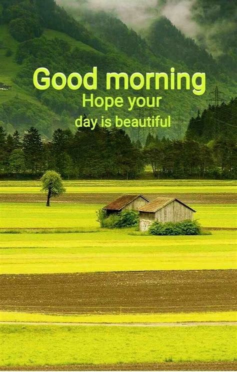 Pin By Adil Guzder On Social Messages Good Morning Nature Good