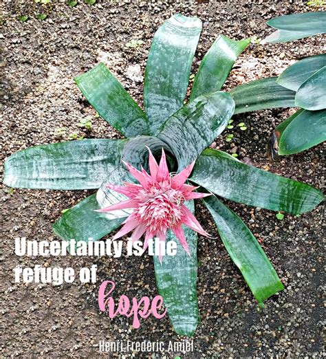 We did not find results for: Inspirational Quotes about Hope - Motivation Sayings with ...