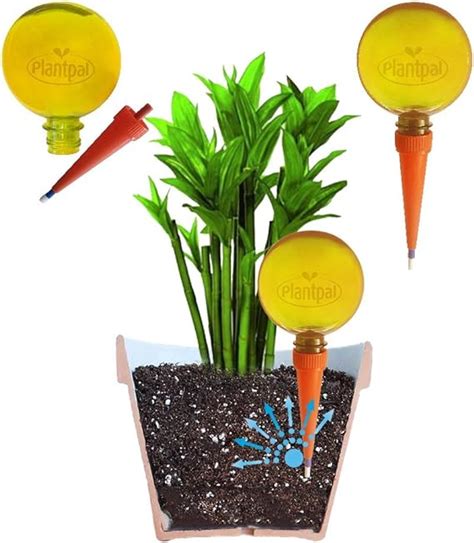 Plantpal Large Watering Globes New Clear Colours Orange Clear View Of