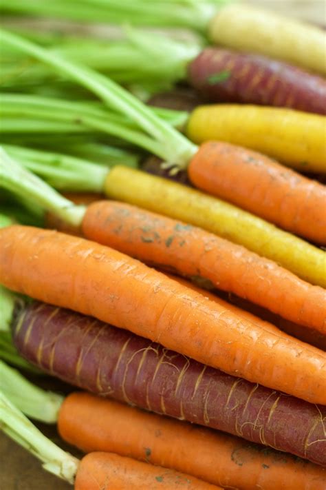 Free Images Orange Food Produce Vegetable Carrot Carrots