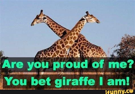 giraffe puns