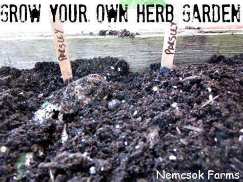 Some people think herb gardening is an option only available to those who have access to a plot of land. I Never Promised You A Herb Garden - Nemcsok Farms