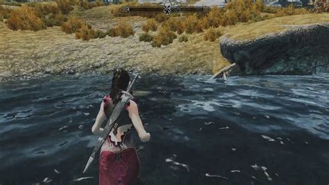 Common breakers would be sse engine fixes. Skyrim Legendary Edition Skyrim Script Extender SKSE # 4 ...