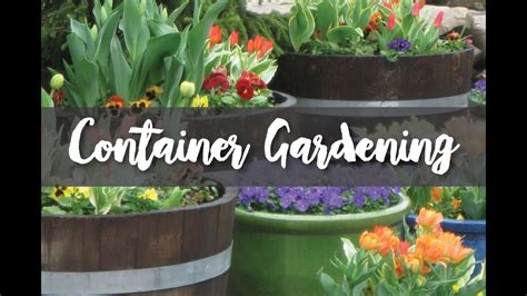 Container Gardening 101 Youtube
