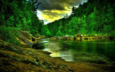 Amazon River Wallpapers Wallpaper Cave
