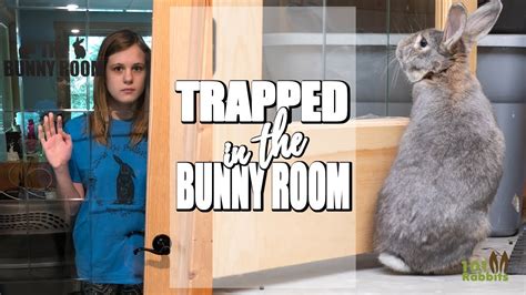 24 Hours Trapped In The Bunny Room 😱 Youtube