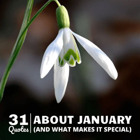 31 Quotes About January And What Makes It Unique Holidappy