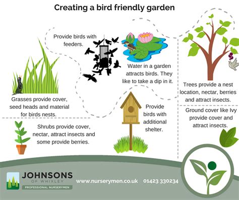 How To Create A Bird Friendly Garden Johnsons Of Whixley