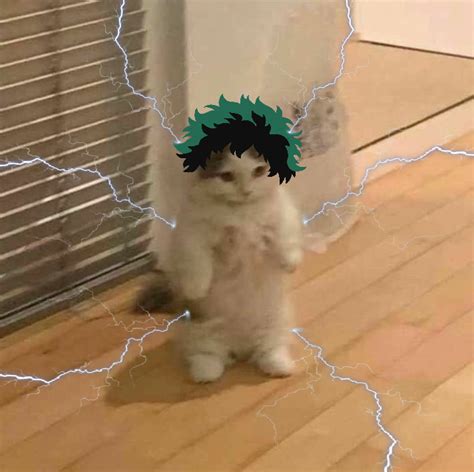 Pin By Laetez On Anime Anime Kitten Cat Pfp Standing Cat