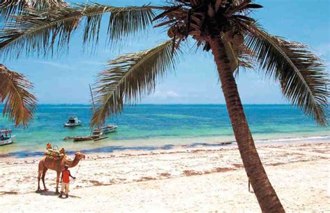 Top 10 Best Beaches In Kenya Worth Every Penny