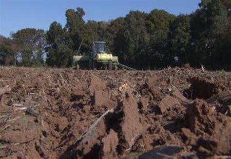Download wheat plantation stock video by dream_landscape. Wheat planting nearly complete