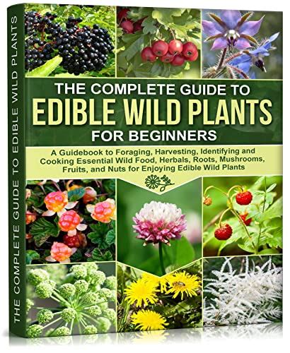 The Complete Guide To Edible Wild Plants For Beginners A Guidebook To Foraging Harvesting