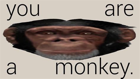 You Are A Monkey Youtube