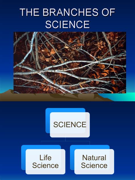 The Branches Of Science Pdf